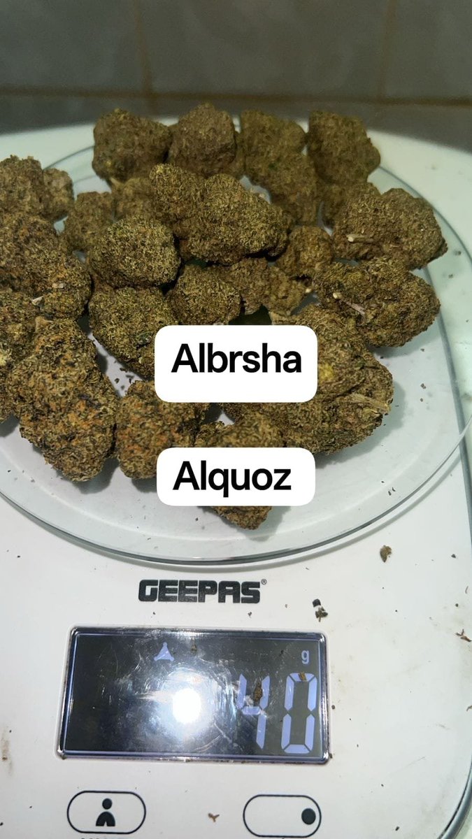 WeedInUAE's tweet photo. I have good Quality in Qatar  Dubai and Oman full discount for new customers 
WhatsApp contact +923035399879
Telegram @Malak_Raees42
#nsfwtwtًً 
#Tyclev 
#Sharjah 
#UAE 
#dubai 
#Ajmon 
#Qatar https://t.co/BtOTLo4q3o