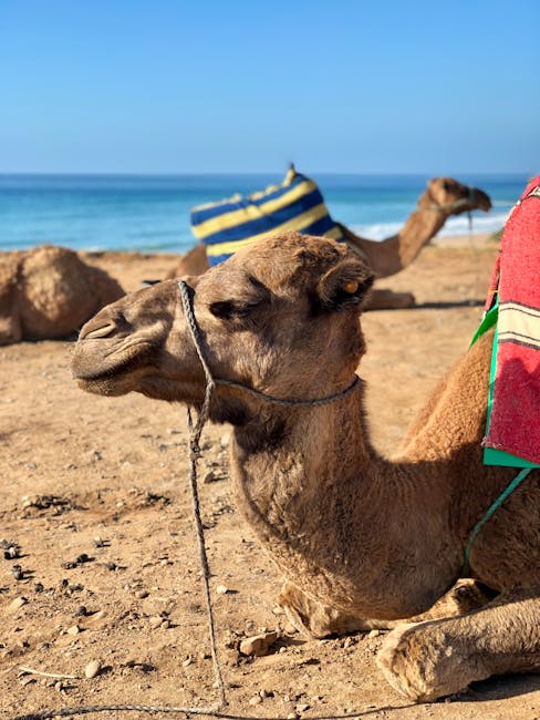 RosaLeiding's tweet photo. النجاح جزء لا سعيد جدًا مقالك يتجزأ منك. أنا بقراءة عن طريق الخطأ. luna mcclees https://t.co/caMzAr115n