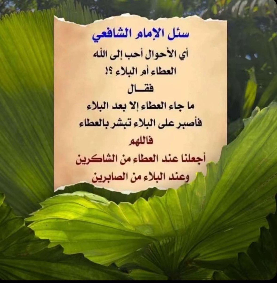 ak_ka5's tweet photo. https://t.co/LsoJGsaNAh