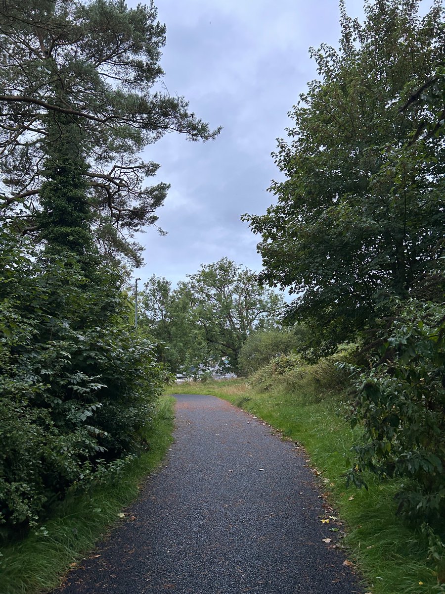 MacGiollaBhainM's tweet photo. Wednesday morning, day 245 #365daysofwalking #100daysofwalking #200daysofwalking #300daysofwalking https://t.co/UXantGZ0bd
