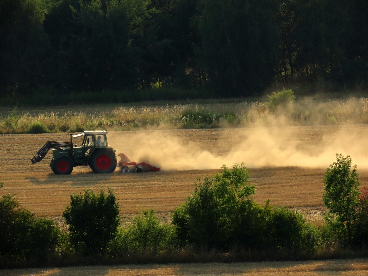 ZRoztocza's tweet photo. Przeminęło lato,susza nie spotykana od lat ☀️. https://t.co/WUubEWRkme