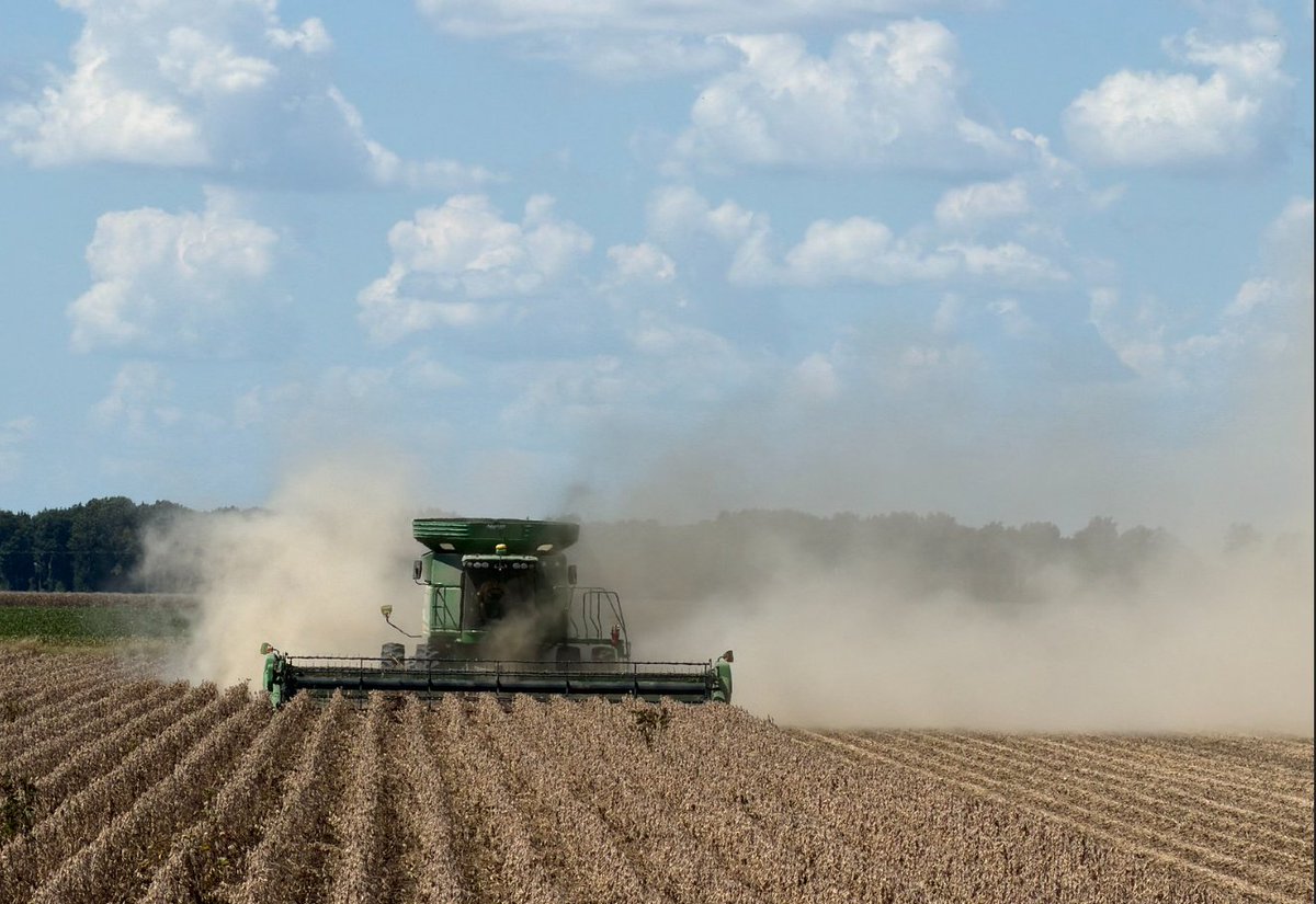 AginArk's tweet photo. The heat and lack of rain continues to speed harvest of rice, corn and soybeans, but farmers are feeling the cost of rising diesel as they run those combines.
https://t.co/LQCZ1uLds8 https://t.co/YbtfQ8md0H