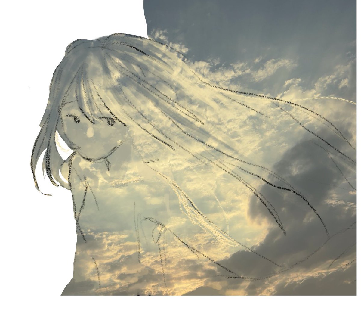 adivinetulip's tweet photo. https://t.co/04vlWUhQ20