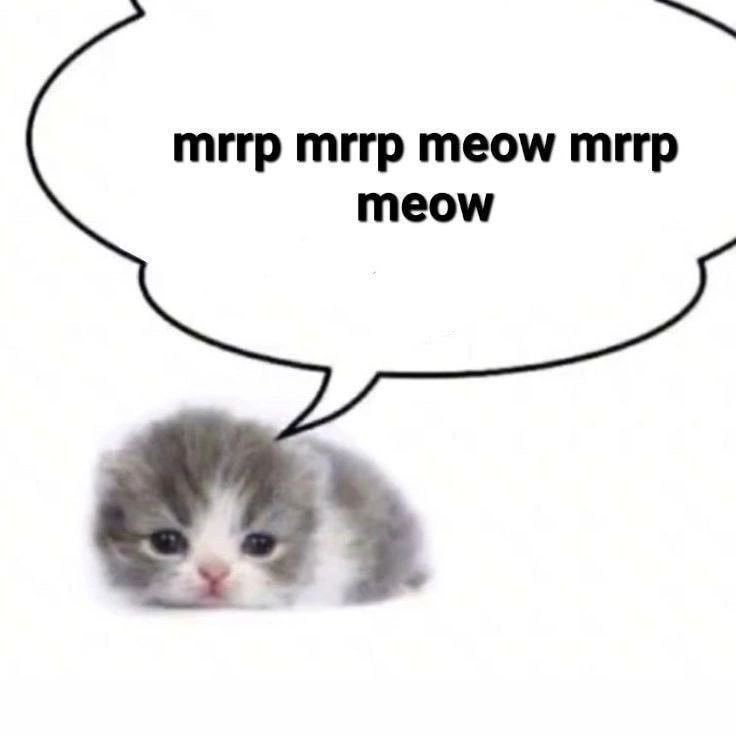 Muff1nfck's tweet photo. @kxnirxkxdn Да как так-то
А что читаете https://t.co/HKW9fIclTN