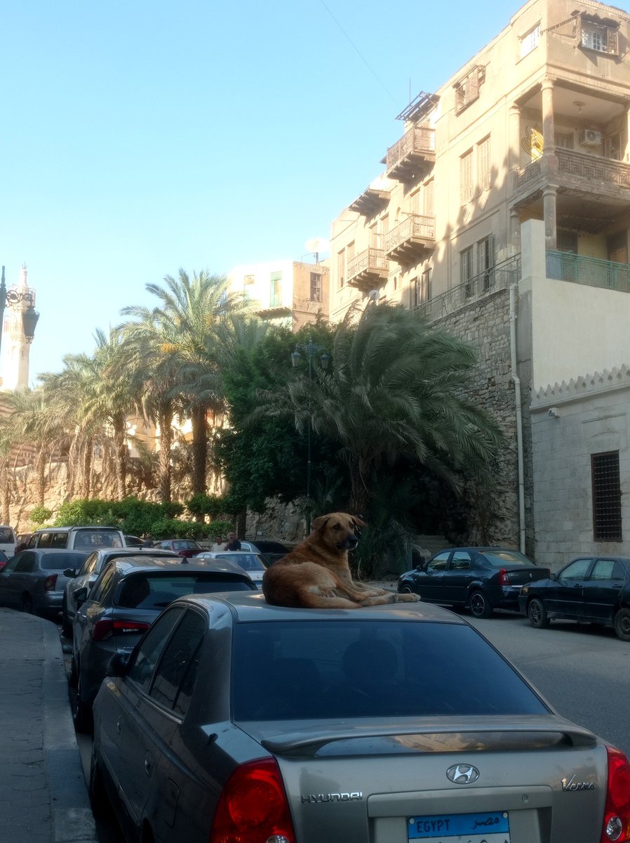 Skyfall22_'s tweet photo. فرق سرعات https://t.co/cWkNFUr8jx