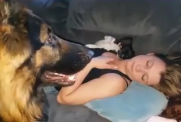 KnottyMia3vcn's tweet photo. Close and cute.
Private is me getting fucked by my doggo until the knot swells, locks, and leaves me completely full.

https://t.co/KZIDLcHFED

#dogs #K9 #USA https://t.co/wdHUMaWyiw