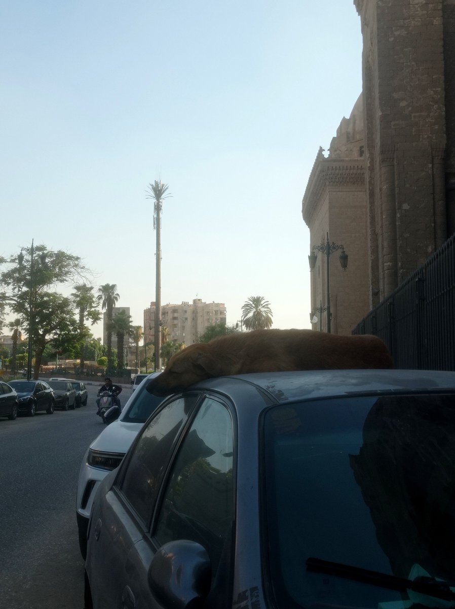 Skyfall22_'s tweet photo. فرق سرعات https://t.co/cWkNFUr8jx