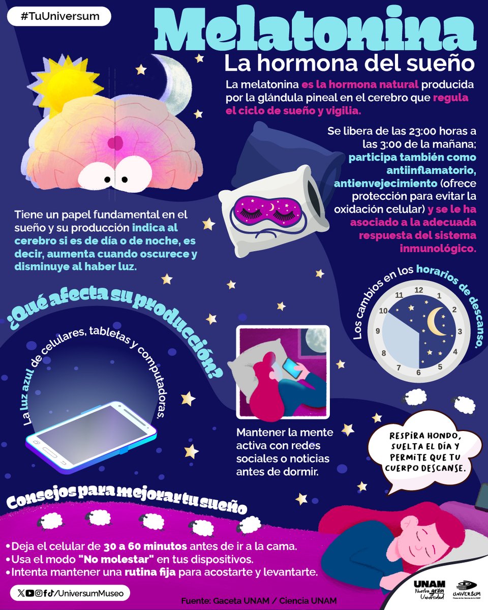 UniversumMuseo's tweet photo. ¿No logras conciliar el sueño? 🫩 La melatonina tiene algo que decirte 💤

#TuUniversum https://t.co/S3scjwnUzi