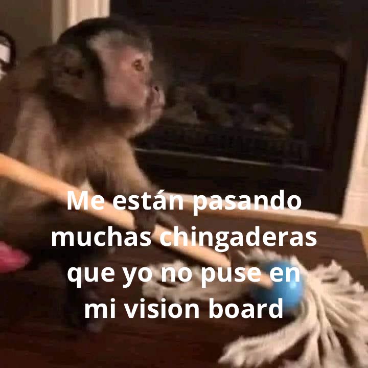 conoloracigarro's tweet photo. https://t.co/vvrXhcRQYH