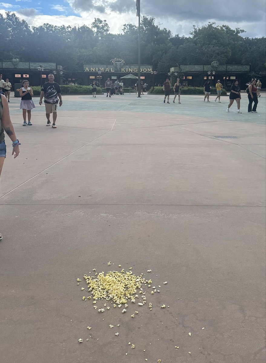 JeffScape's tweet photo. Free popcorn outside of Animal Kingdom if anyone is interested https://t.co/3OtQycONbR