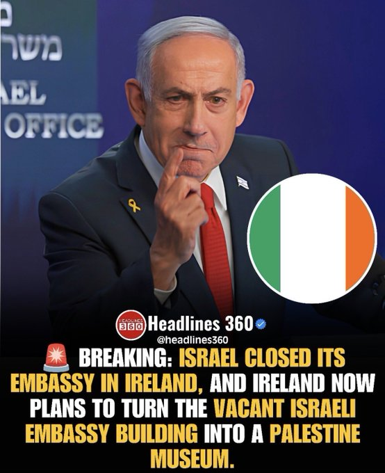 SaraReyi's tweet photo. Ireland 👏👏 https://t.co/6xMaZY8y6R