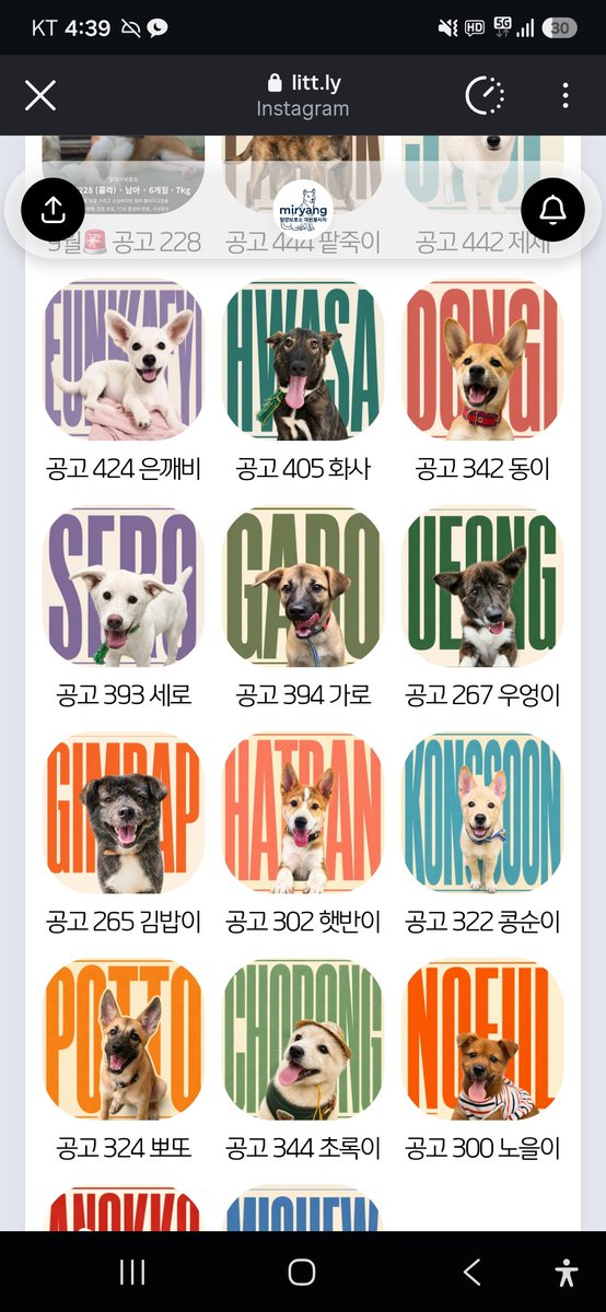 animalrtaccount's tweet photo. 밀양시 9/23 안락사 명단
링크 클릭! 봉사자분이 아이들 정리해놓으셨어요
https://t.co/ZZH8MsvyTJ https://t.co/8MQnUdHnEM