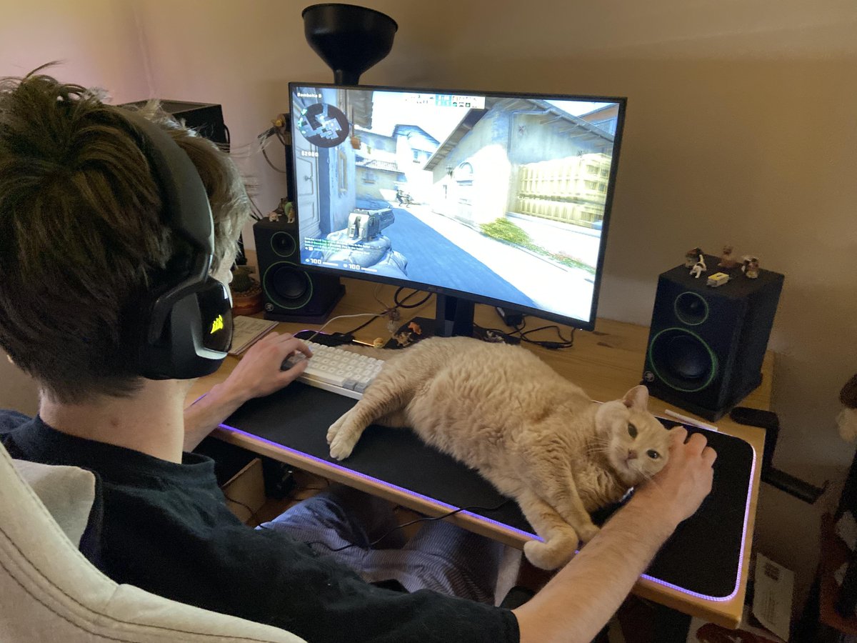 CSGORoll's tweet photo. Imagine playing AWP and flicking 😭 https://t.co/ulNvkOb2pU