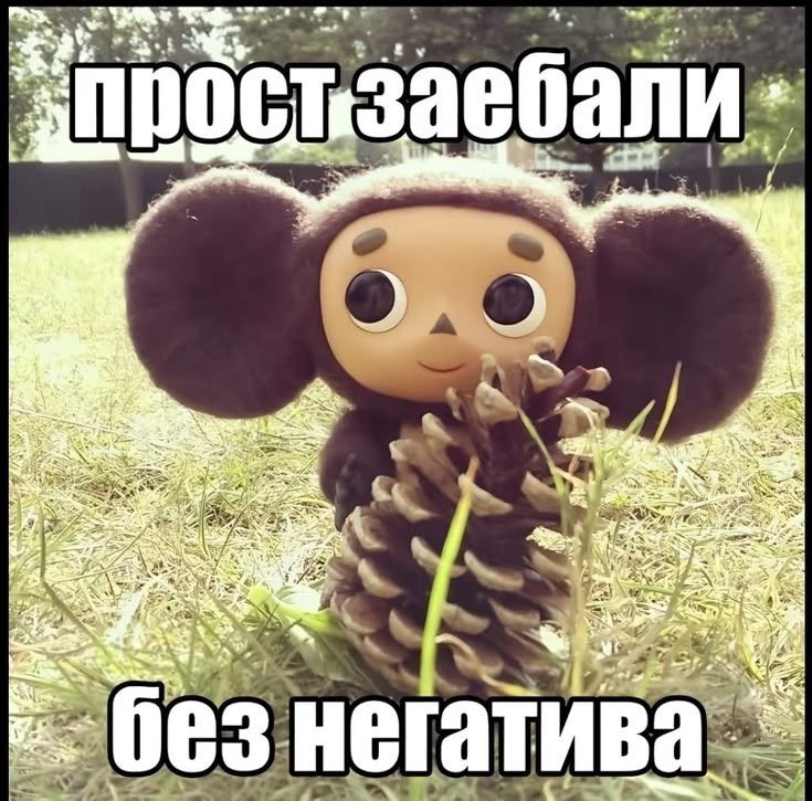 ContiiEst's tweet photo. мне морально тяже��о общаться с одноклассниками https://t.co/dRFMGqIt4a