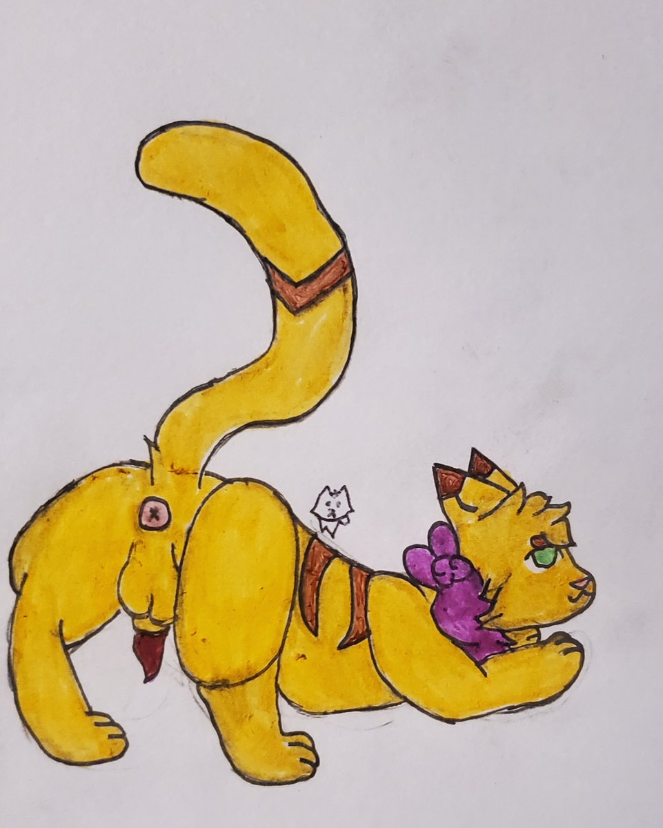 SpicynuggetCat tweet picture