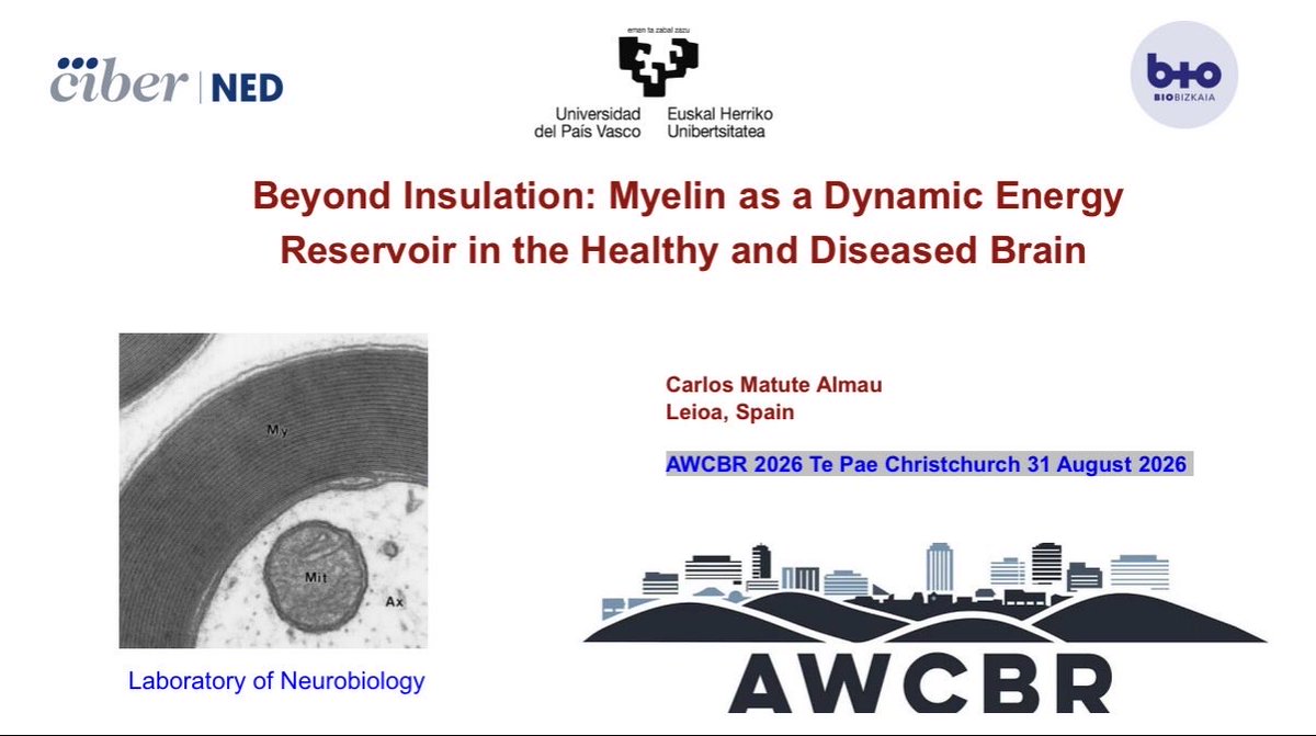 MatuteC_'s tweet photo. 🌍 From Bilbao to Christchurch — almost the farthest place on Earth from our lab.
Delighted to deliver my plenary at #AWCBR2026 on
#Myelin, metabolism and brain resilience. 🧠
Science is truly global.
@upvehu @CIBER_ISCIII @biobizkaia @iBasak_13 https://t.co/7LzlArSEwC