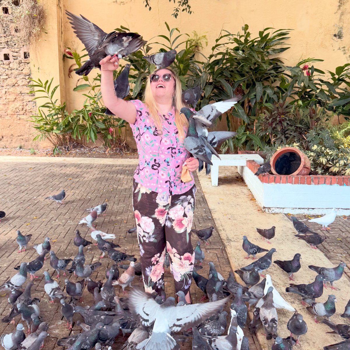 TheCartoonBase's tweet photo. Vivienne Medrano feeding pigeons in Puerto Rico. ❤️

The creator of Helluva Boss and Hazbin Hotel. https://t.co/OSA3x2hVfK