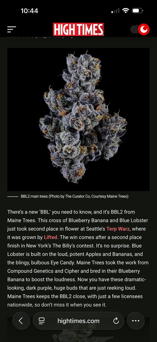 SOWC_DC's tweet photo. BBL2 
(Blueberry Banana × Blue Lobster)
@mainetrees 

🥈 Fruits: The Billy’s 2026
🥈Flower: Terp Warz 2026

Back in stock 
🔥🔥🔥🔥🔥 https://t.co/esgZDRdlgy