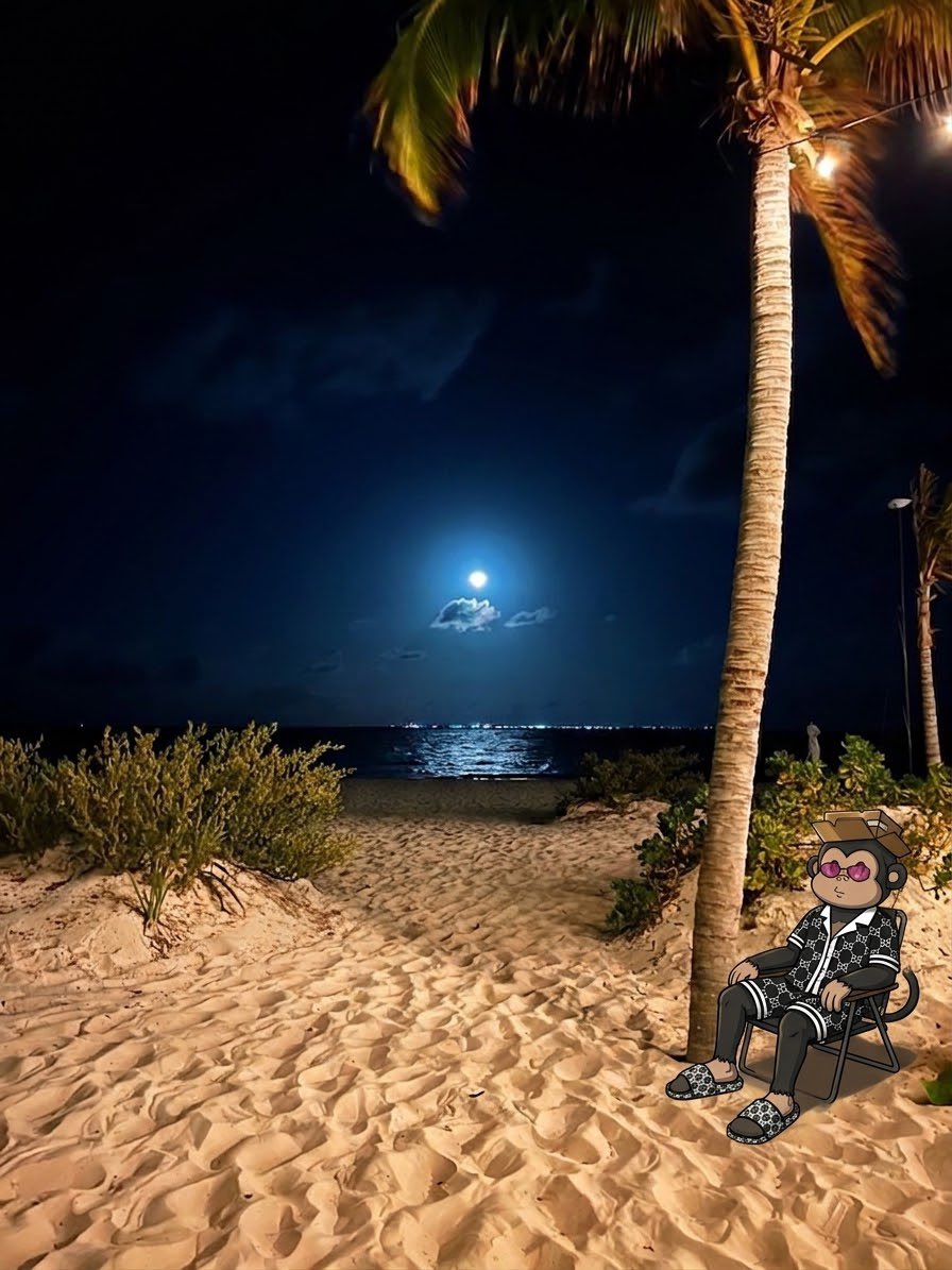 ROGUE_of_Web3's tweet photo. Gn frens🩵

wishing y’all a blissful night ✨ https://t.co/MCwHRozyAD