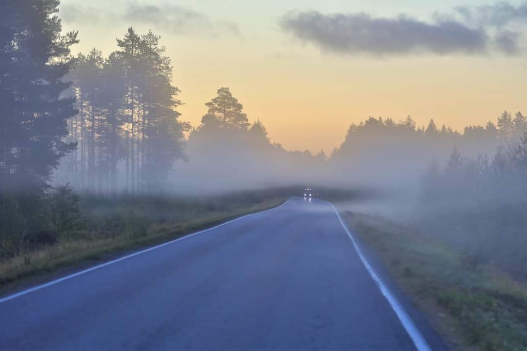 PHatunen's tweet photo. Aamun usvaa 3.9.2020
#mistymorning #Septemper #Finland https://t.co/wQDjAo25WC
