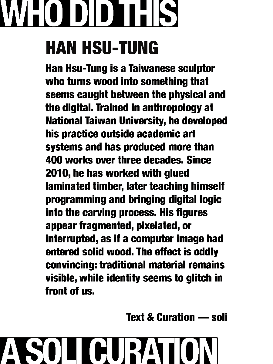 solisolsoli's tweet photo. Pixelated wood sculptures — Hsu Tung Han https://t.co/dbBuB6IRpC
