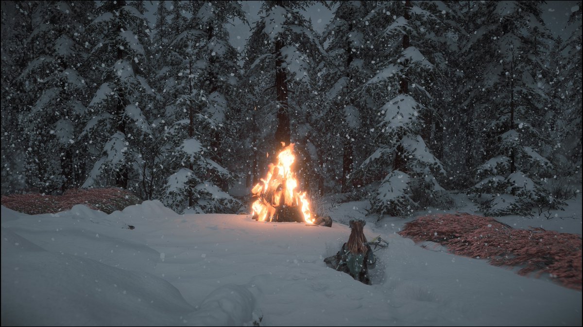 WildJogurt's tweet photo. #PSshare #PSBlog #PS5 #Horizon #HorizonZeroDawn #VirtualPhotography #VPGamers #VPGames https://t.co/jNDRBXtdL7