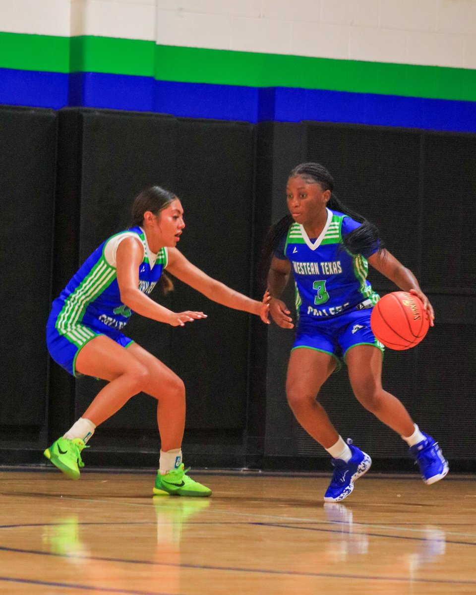 WTCHoops's tweet photo. Preseason prep🏀

#WTCAthletics #GoLadyWesterners #WTCWBB https://t.co/qVwaLSnjKf