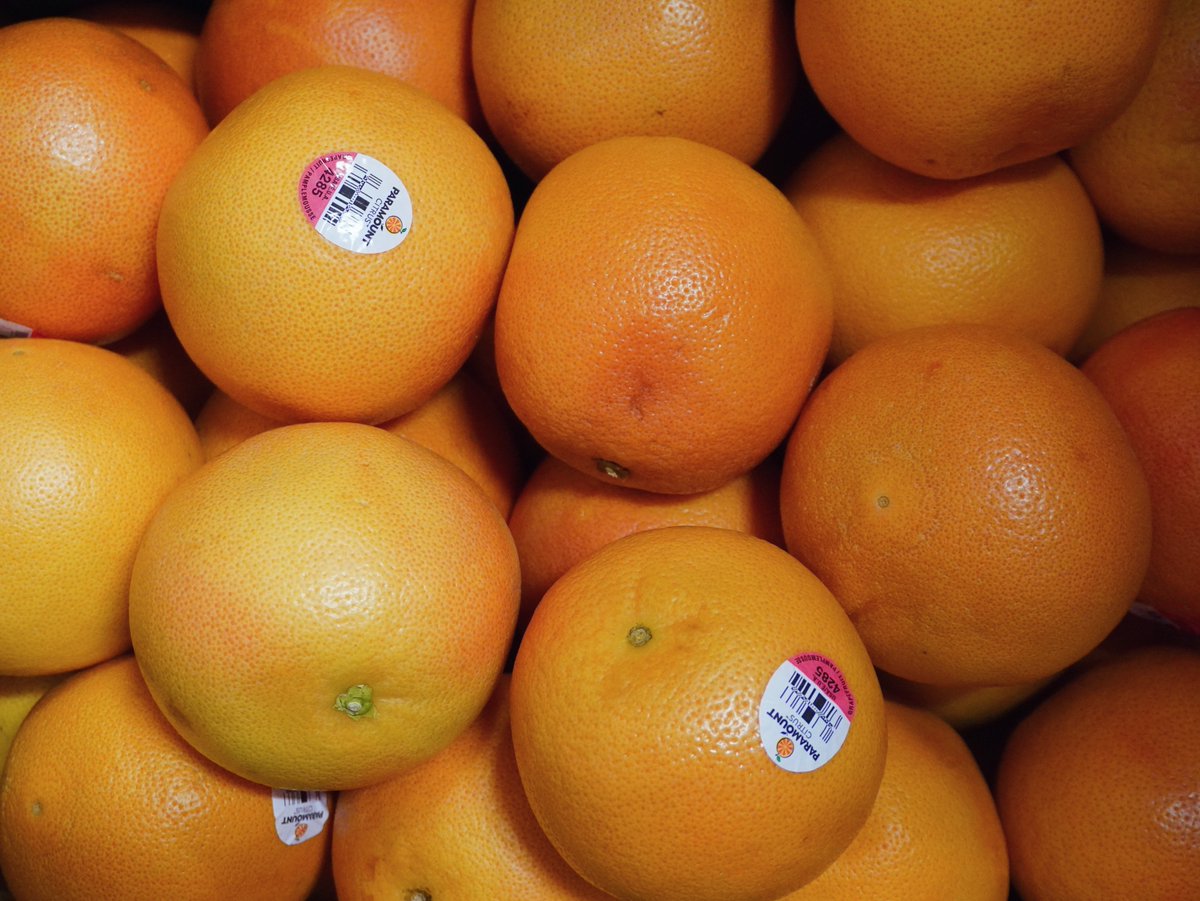 KimballProduce's tweet photo. A good citrus lineup starts with fruit that delivers. 🍊 These grapefruit are coming through with a fresh, vibrant look and plenty of eye appeal. Another great showing from Kimball Produce Sales!📦✨#Grapefruit #Citrus #FreshProduce https://t.co/dxhLNf7J5L