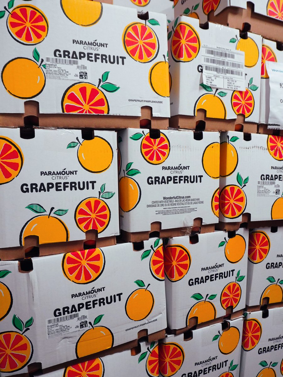 KimballProduce's tweet photo. A good citrus lineup starts with fruit that delivers. 🍊 These grapefruit are coming through with a fresh, vibrant look and plenty of eye appeal. Another great showing from Kimball Produce Sales!📦✨#Grapefruit #Citrus #FreshProduce https://t.co/dxhLNf7J5L