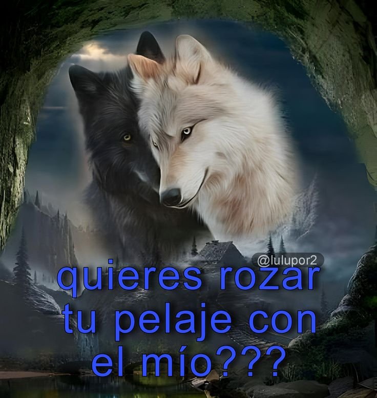 nishirkon's tweet photo. Me estoy proyectando https://t.co/YCncWdbNCI