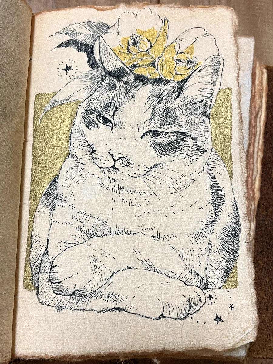 CatCuts✴︎描き猫✴︎ ✴︎ on X: 