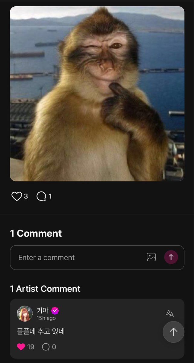 allinglow's tweet photo. kya said this monkey is dancing to flip flop messy 😭😭😭😭 https://t.co/HBS2H1mv6G