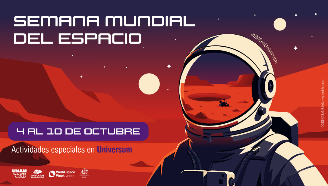 UniversumMuseo's tweet photo. 🌠¡El universo es enorme! y tu curiosidad lo es también en Universum☺️

Prepárate para viajar entre planetas, explorar con tecnología espacial y acercarte a fenómenos que ocurren muchísimo más allá de nuestra atmósfera: https://t.co/4nAMr5ZPzI 
¡Ven a explorar la #SMEenUniversum! https://t.co/DJH9Y4gV6m