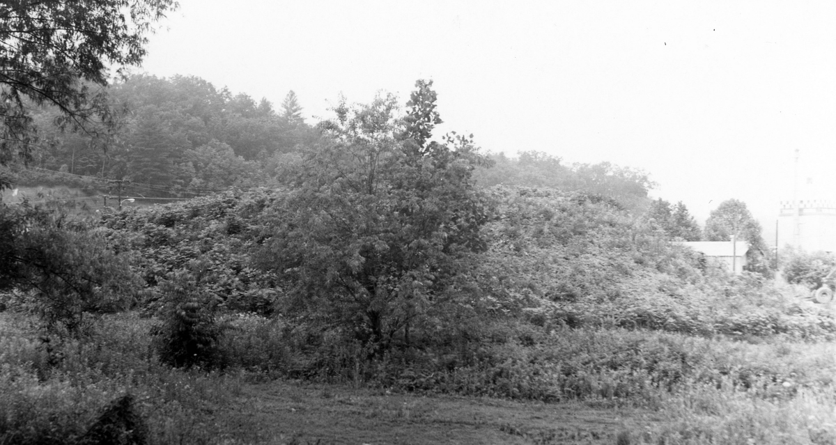 Nikwasi Mound, 1963. Photograph by Ed Dolan. The University of North Carolina at Chapel Hill, Digital Collections.