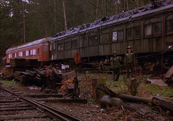 freakyfilms0's tweet photo. Beauty of Twin Peaks https://t.co/FOiKCHbHNG