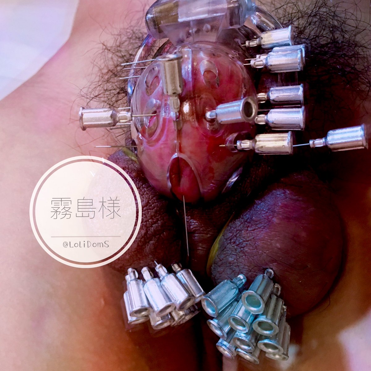 LoliDomss's tweet photo. 就算戴着贞操锁也要被踩蛋蛋然后乖乖挨针喵 https://t.co/vwYyyOZMwL