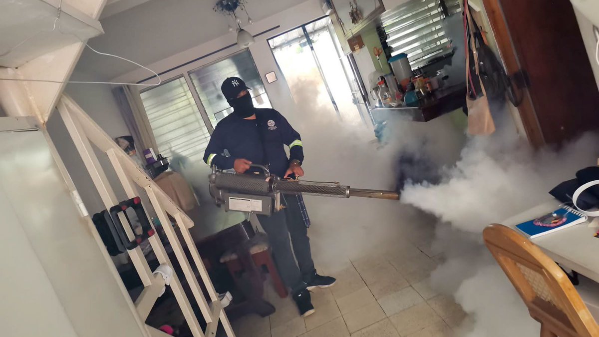 D_Capitalino's tweet photo. Más de 500 habitantes de las comunidades Hermosa Provincia, Don Rúa y pasajes Pleitez, Bustamante, María Auxiliadora y Lindo fueron beneficiados con jornada de fumigación integral por parte de personal de Promoción de Salud y  Administración de la Zona 1 de la Comuna Central. https://t.co/jBPBlmXP5R