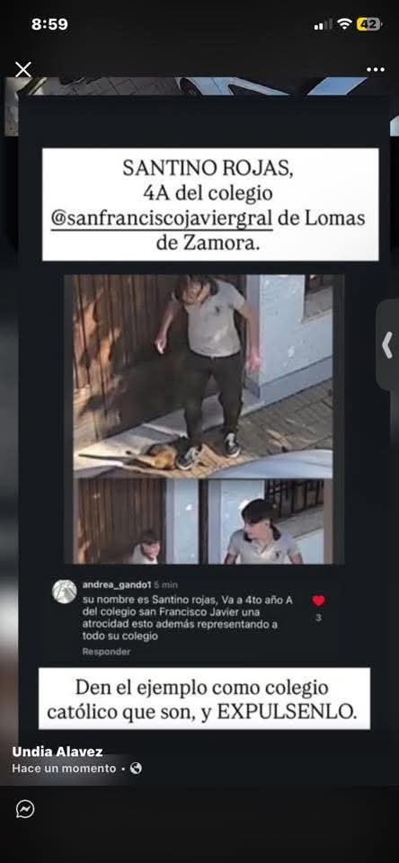 mirtafortunato1's tweet photo. @pepeochoa88 Un futuro asesino https://t.co/rOXO8Ykxbg