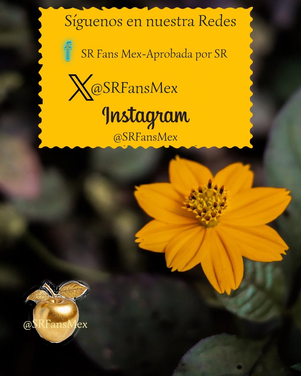 SRFansMex tweet picture