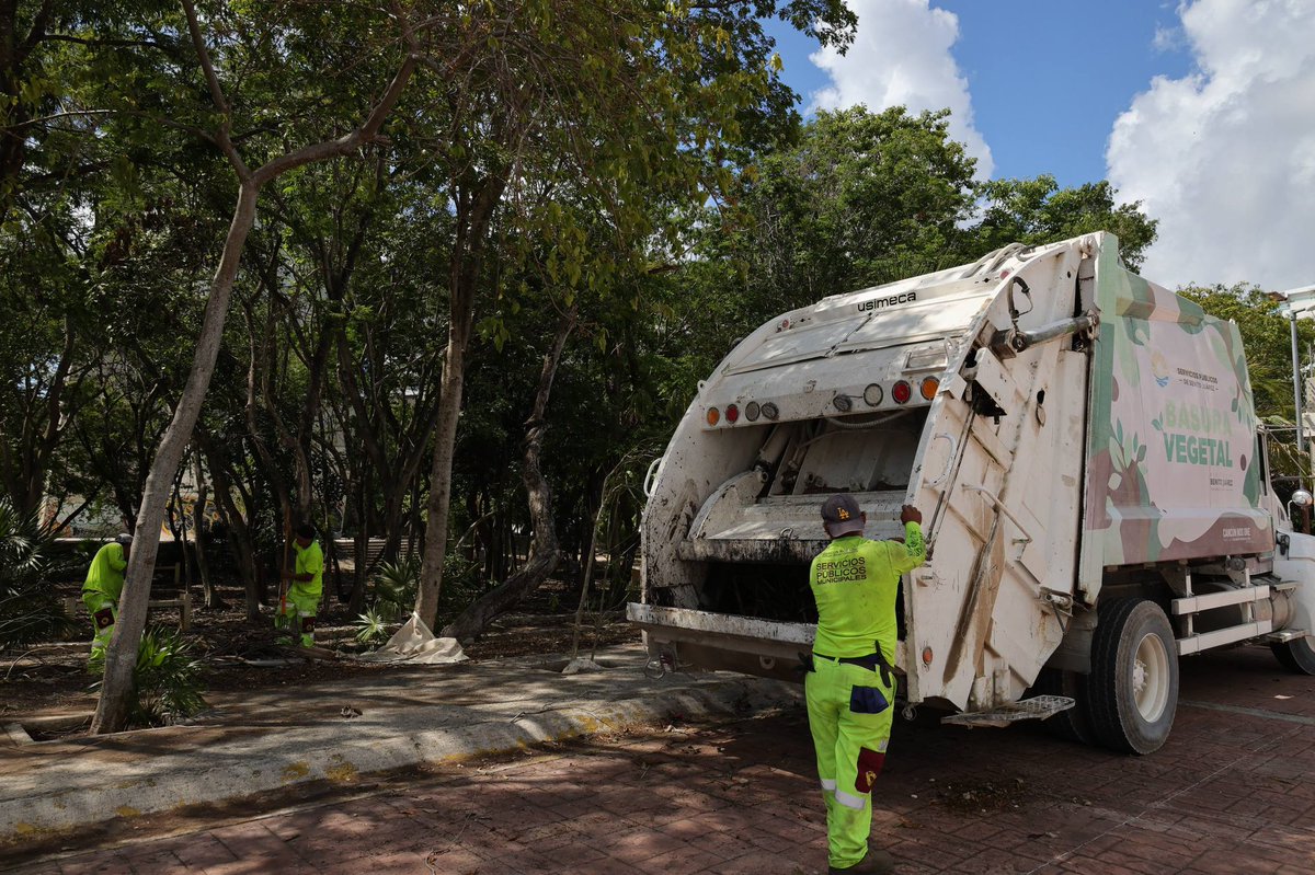 AytoCancun's tweet photo. 🌿♻️ Seguimos trabajando por espacios más limpios y ordenados para todas y todos.
Realizamos labores de recoja de basura vegetal en la SM 12, contribuyendo al mejoramiento de nuestra imagen urbana.
📲 Reporta zonas que necesiten atención a través de #ChatCun: 9987 784 500. https://t.co/7eN4jYDZ17