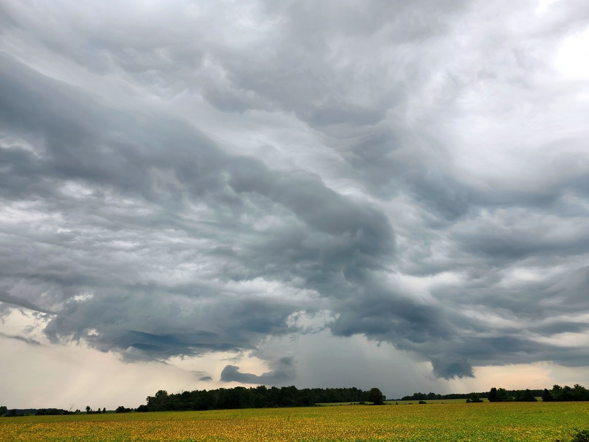 WxOntario1's tweet photo. Lowering with the storm near #Ethel
#OnWX #ONStorm https://t.co/KyaQfP7zAv