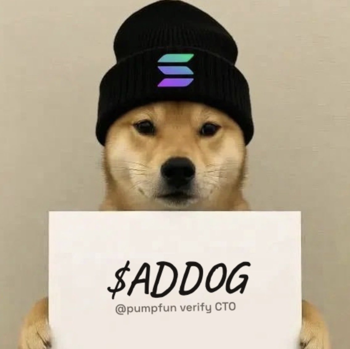 addogonpf's tweet photo. hello @pumpfun verify CTO for $Addog https://t.co/i6VbqjVq1w