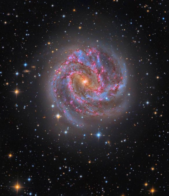 konstructivizm's tweet photo. Spiral galaxy M83, shining 15 million light-years away!

It is a barred spiral galaxy located in the constellation Hydra.

🔭 You can spot it even with 10x50 binoculars—it will appear as a glowing patch. A telescope with a 150mm aperture allows you to make out the galaxy's dark patches, while a 250mm aperture lets you examine its spiral structure and dark dust lanes.