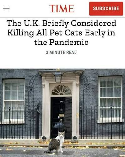 Babygravy9's tweet photo. We really have forgotten so much about the pandemic. https://t.co/Y9dexCHGAJ