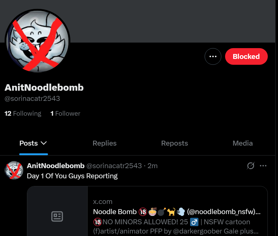 noodlebomb_nsfw's tweet photo. Ok, so this asshole messaged me first and was trying what I thought to be a fan complimenting my art so I was trying to humor them and then all of sudden they pulled the "urm actually... I'm a minor so you're a creep" card and is now trying to report my account.

Thankfully nothing explicit was shown before I knew, (I try my best to not share any of my work with anyone not unless I can confirm their age) but you can't be doing this shit man...

Don't go harassing them at all.
Just report their account and get them off of Twitter since they obviously don't belong on here