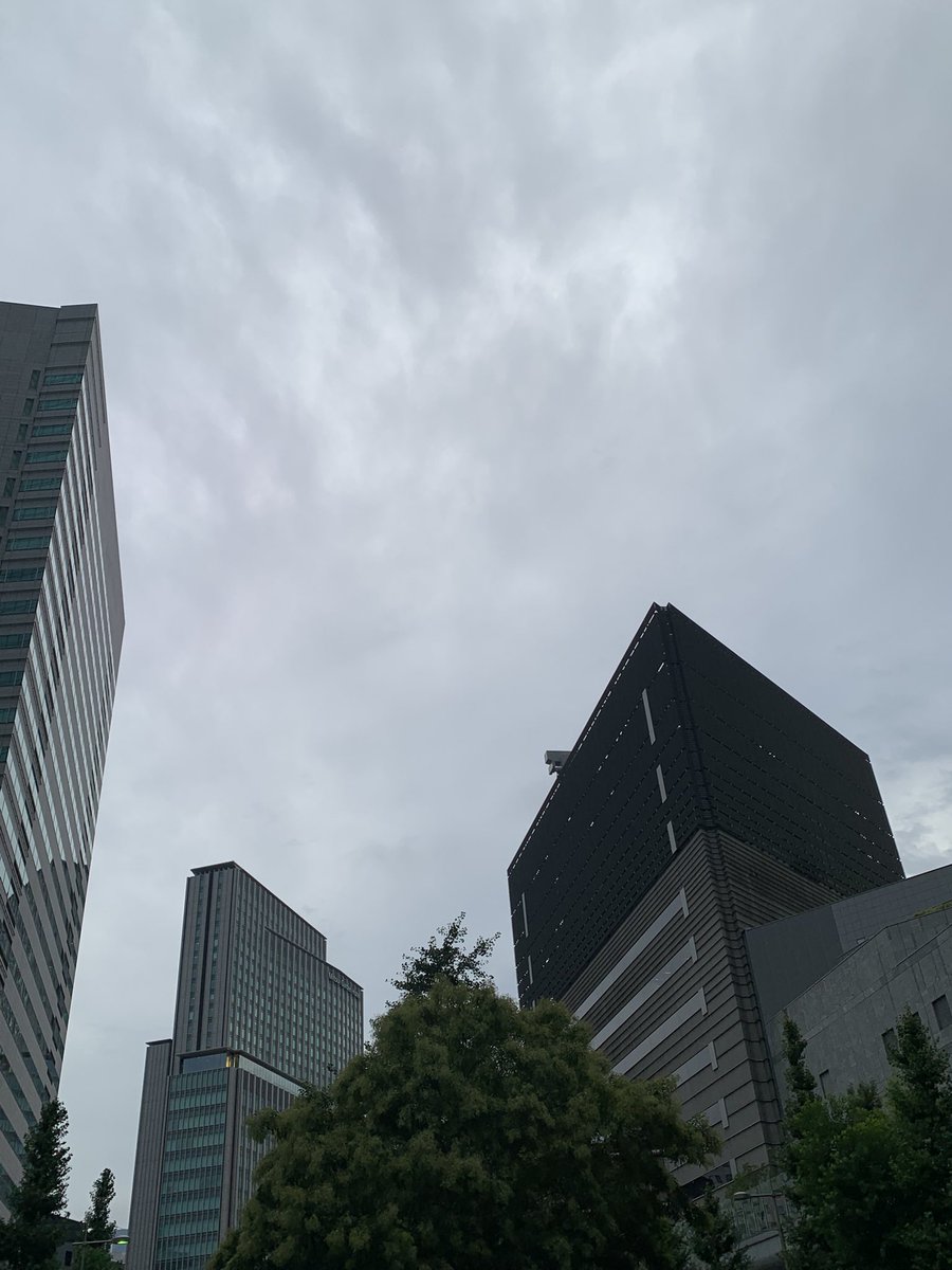 AkuTosa's tweet photo. 曇り空　風は通りますが、ぬるい
10分休憩
雨が降っても　降りすぎませんように https://t.co/gOVfr69Eeh
