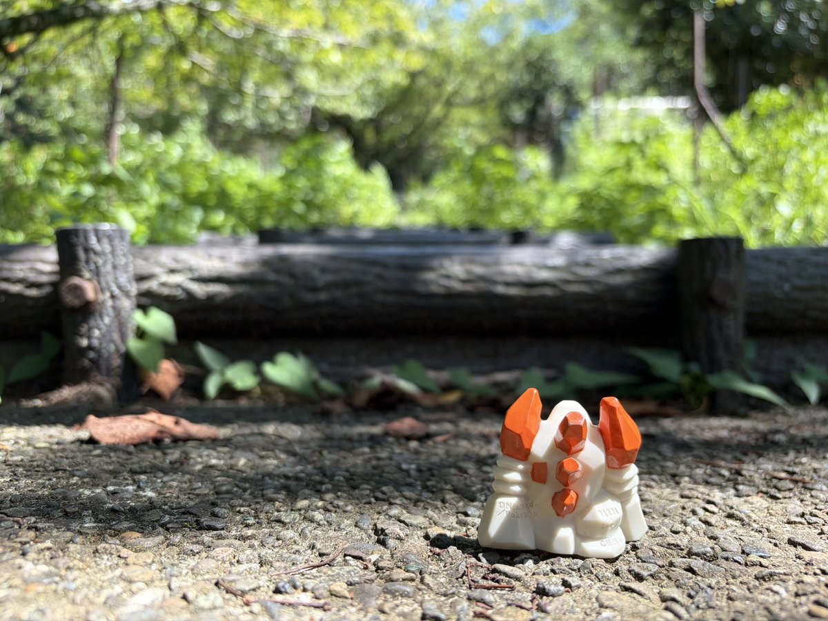 Regirock_around's tweet photo. https://t.co/hqaiu7Tame