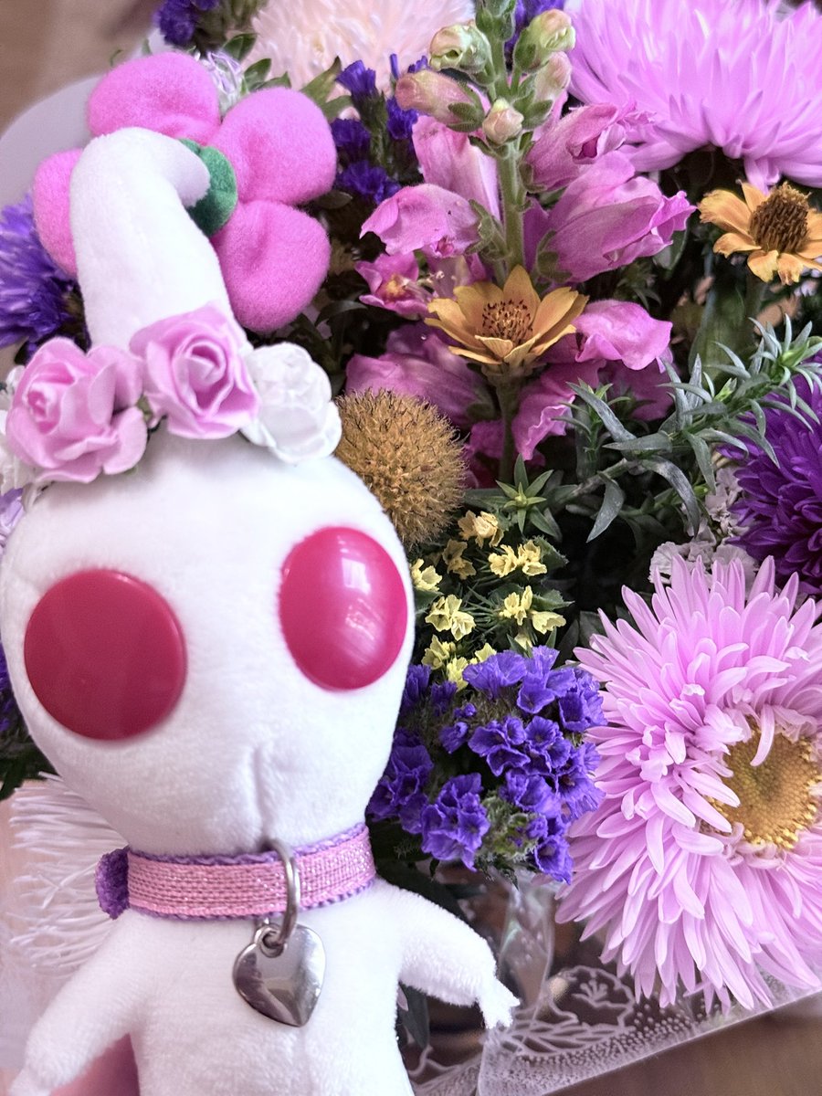 user327894373's tweet photo. 🌸flower princess
#ピクミン #pikmin #피크민 https://t.co/IuE9eiqkzf