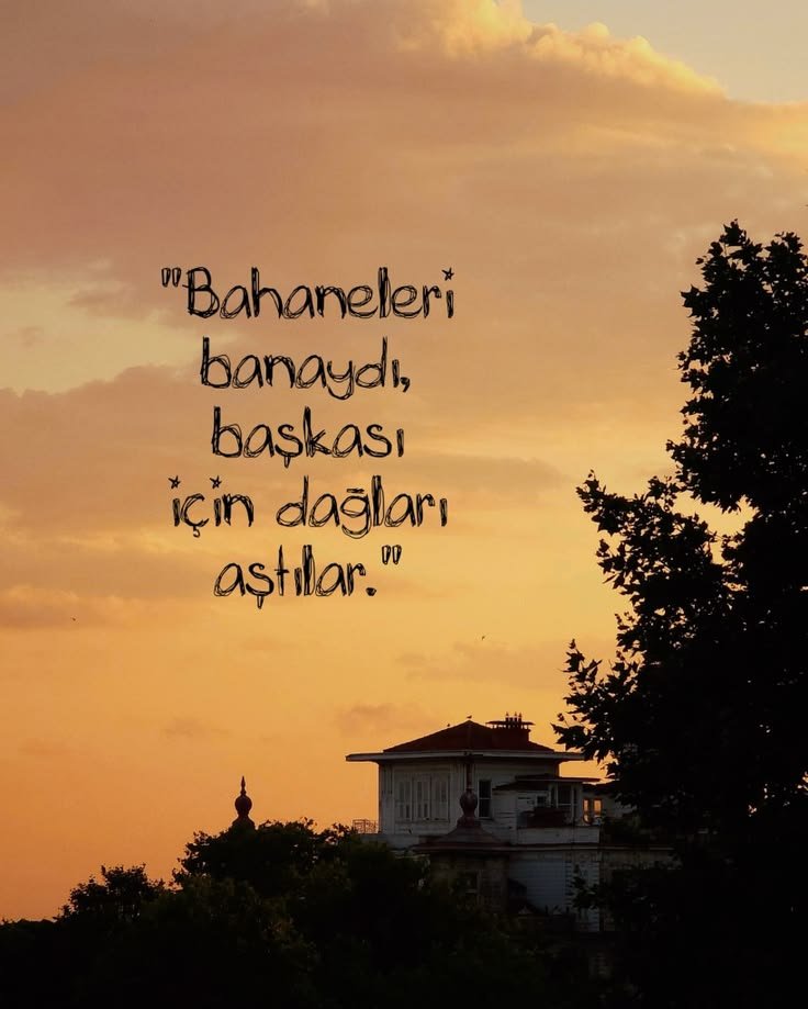 ardiskusu's tweet photo. 3 eylül https://t.co/1lKf76bIpD