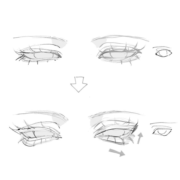 fznutri's tweet photo. Build the eyelids around the eyeball instead of drawing the eye as a flat symbol. https://t.co/CJCyAwN0Fg